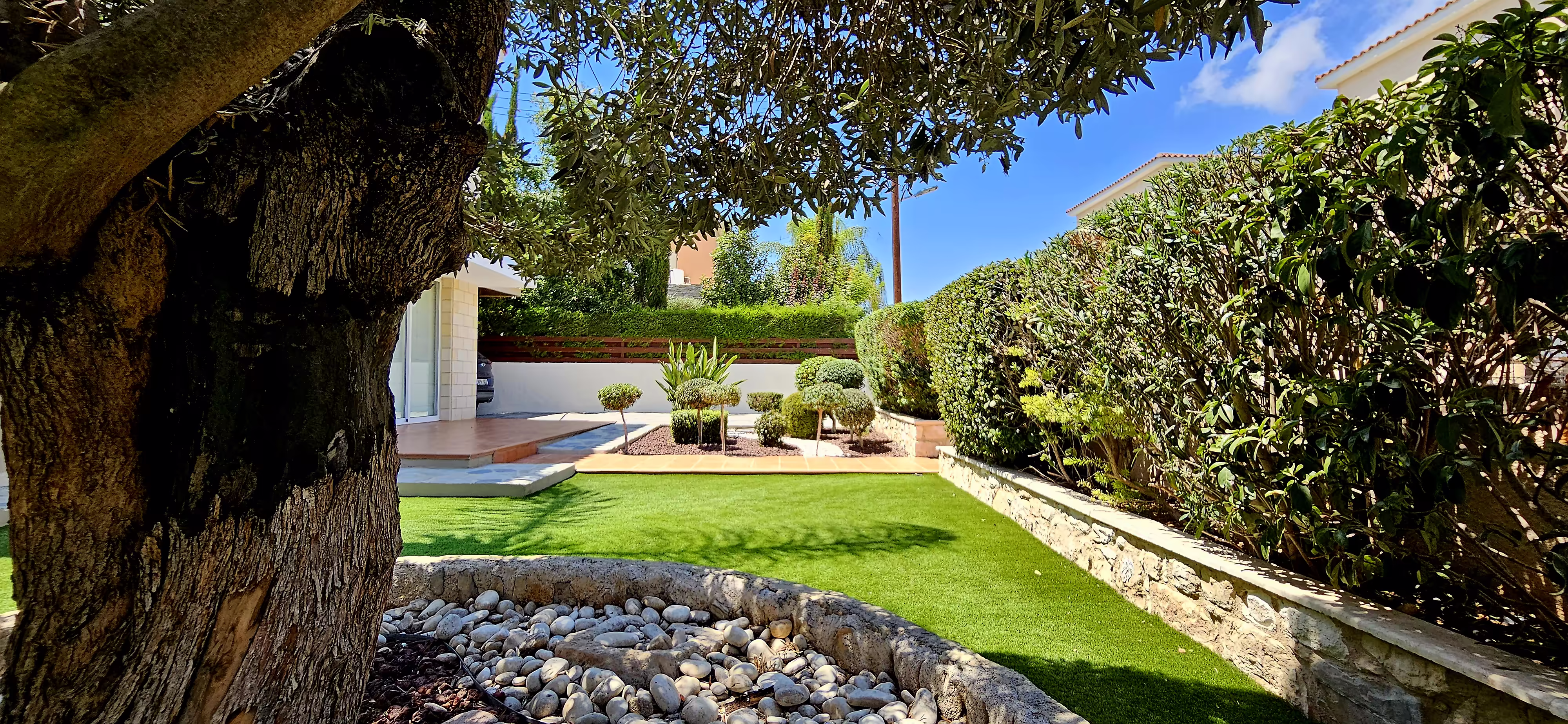 Mediterranean Landscape